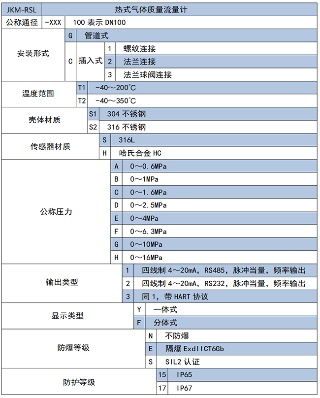 DN25熱式氣體質量流量計選項表